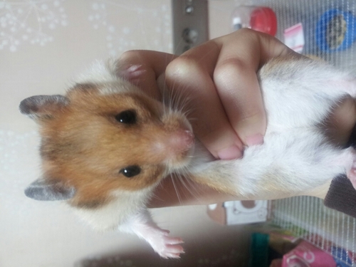 hellojs0106's profile picture. 찌써니찌써니