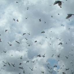 AJvanGent's profile picture. 