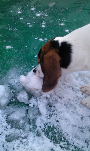 kjltoo37's profile picture. 한선화 팬 ㅠ