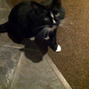 nicky murray - @nickym62 - Twitter