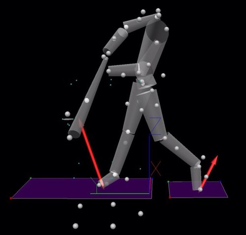 Personal training, Dartfish and 3D biomechanical analyses.