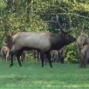 Troy Wingard - @BamainWA - Twitter