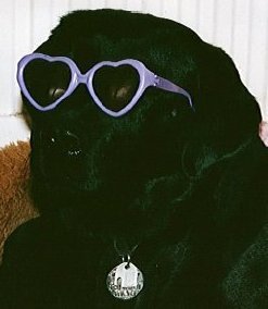 Hello_Balders's profile picture. 