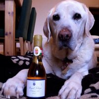 Jonathan Jackson (@jjwineblog) 's Twitter Profile Photo Jonathan Jackson (@jjwineblog) 's Twitter Profile Photo