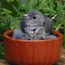 Luz Buckley - @LuzBuckleyUVGO - Twitter