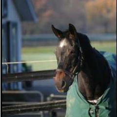 cranston216's profile picture. 