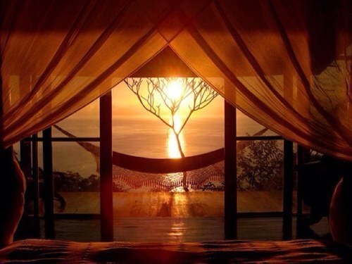 alsaif27's profile picture. (( واثق الخطى يمشي ملكاً ))