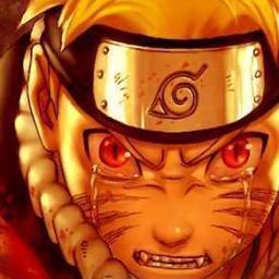 isacoliveira78's profile picture. 