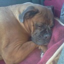 Nathan Haggard - @Cards5Nate - Twitter