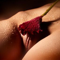 kiran_shah_20's profile picture. 
