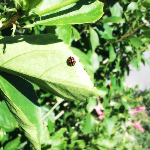 Appreciation365's profile picture. ビーチサッカー❤バスケ❤バドミントン❤ダイビング❤とにかく身体動かすの大好き！幸せに感じる出来事大好き(★*口*艸嬉)よろしくでーす☆