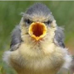 MrCore2Man's profile picture. 