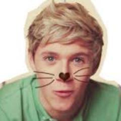 Hola soy de Chile & amo con pasión y locura @NiallOfficial el es mi todo, pero no soy directioner.
@directioner_lau es otra idola, nono BFF. Follow back.