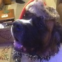 Dawn Lines - @dawnc63 - Twitter