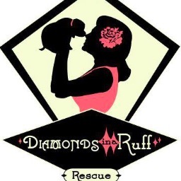 Dedicated to rescuing animals from high kill shelters & to be the voice for the neglected, abused & unwanted who can’t be heard.  http://t.co/bcXOmJMW4I