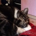 Becky Gamble - @bumble_becky - Twitter