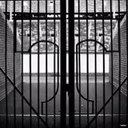 Shea Lea - @shea_lea - Twitter