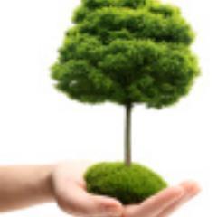 Green Earth Free Offers is on a mission to help our planet restore the millions of trees that are lost each year.