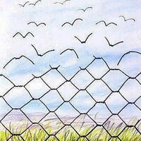 zafer günal (@keremzafergunal) 's Twitter Profile Photo