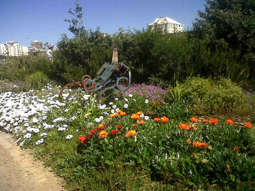 Helen Malgas (she/her)