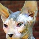 chris zarate - @CriszarChris - Twitter