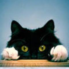 magfs1's profile picture. 