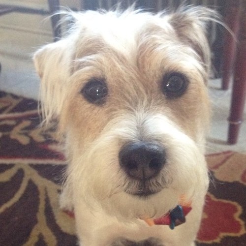 BethrkBeth's profile picture. Proud mom of two grown ups!