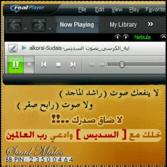 BO_AHMED503's profile picture. 