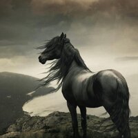 وافيه (@dam3t_walh) Twitter profile photo