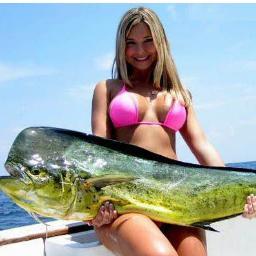 surf and fishing forever !
Soy chica surf ;)