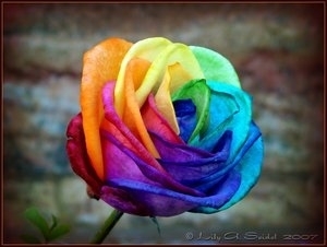 LanieDion's profile picture. 