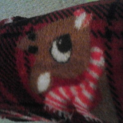 Profile Picture of Beth Grace Hudgins (@BethHudgins) on Twitter