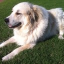 Jeff Fallon - @goerge_2 - Twitter