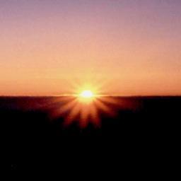 ehdwl's profile picture. 잠없는 귀신, 사제콩이, 글쓰기 노력중, 말하기 노력중, 수원, 호매실, 김제, 백구포도, 지평선 축제