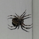 Betsy Robinson - @blackbeltMom726 - Twitter