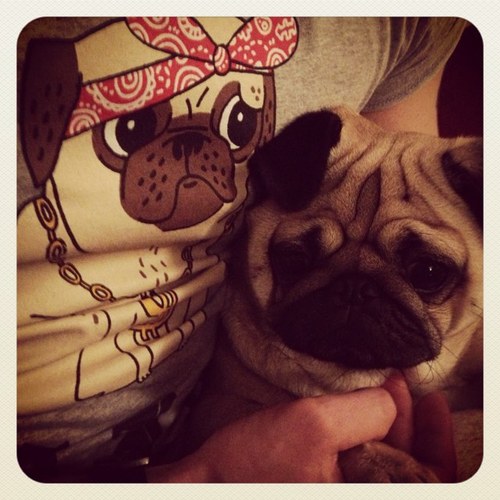 pugsley pug pugsley pug pug pugsley pugsley pug pugsley pug pug pugsley
