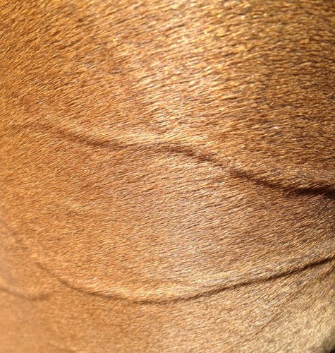 spotyduke's profile picture. 