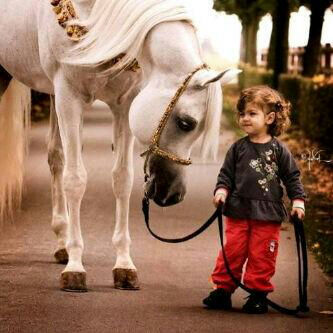 tmrd_a's profile picture. 