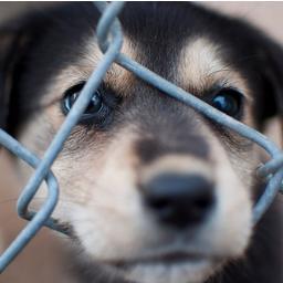 heart5000's profile picture. Twitterをどのように使っていくかまだ考えあぐねていますが、とりあえず自分が気になる情報を発信、またはリツイートしていきたいと考えています。