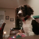 Justin Stagg - @justinstagg77 - Twitter