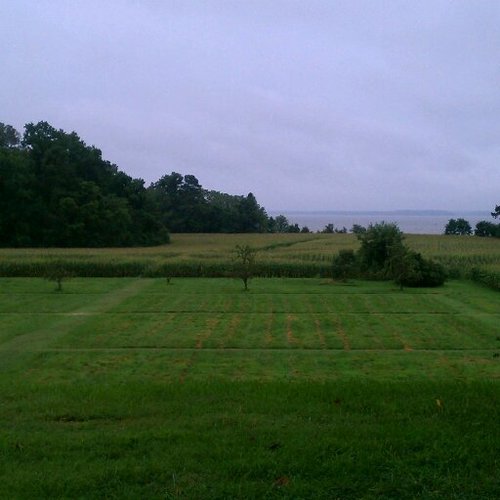 jasoncenter's profile picture. irun...iworkout....ilikeit