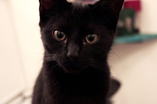 2Uhr's profile picture. 아무것도 모르는 척