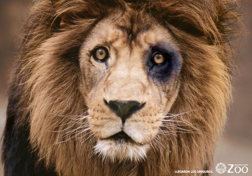 Sergio_Leal1's profile picture. 