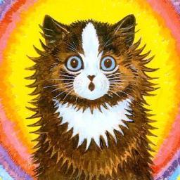 DrNyan_'s profile picture. Mejores tweets en una sola cuenta.