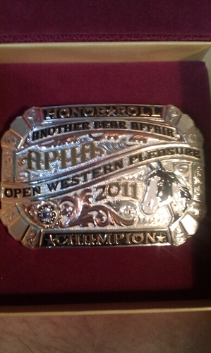 emnettplhorses's profile picture. training, breeding, showing, and selling APHA and AQHA horses.