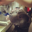 Tara Caley - @Tara__Marie13 - Twitter