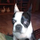 Jan Beaver - @beaverneener - Twitter