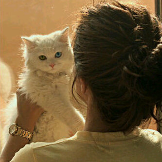 business student @ Dubai Women College # instagram : Danat_Dubai