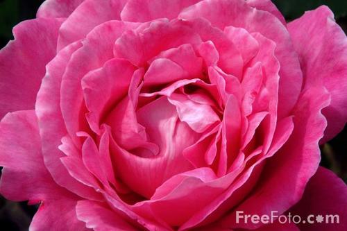 AndreaChrons's profile picture. 