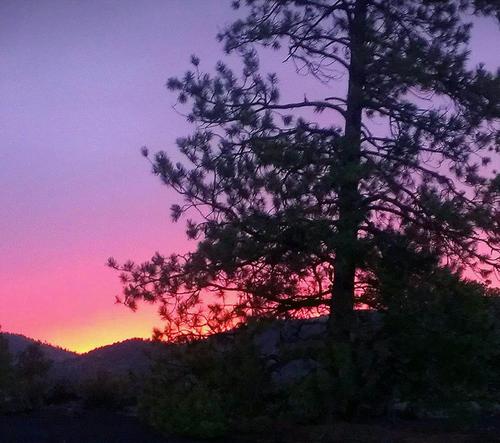 I'm a business woman who knows there's a success story in each of us; I'm an attorney, writer, mentor/coach, and lover of nature's gifts. To your success!